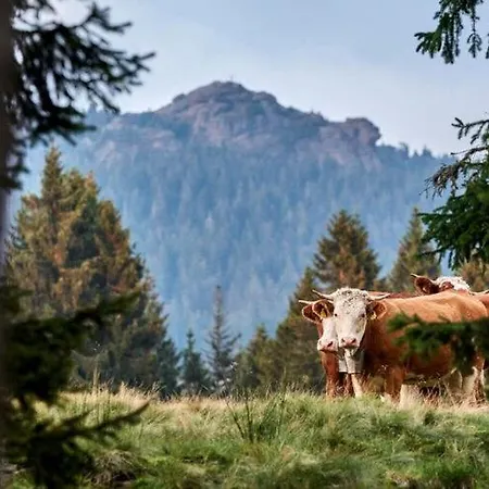 With Beautiful View * Bad Koetzting